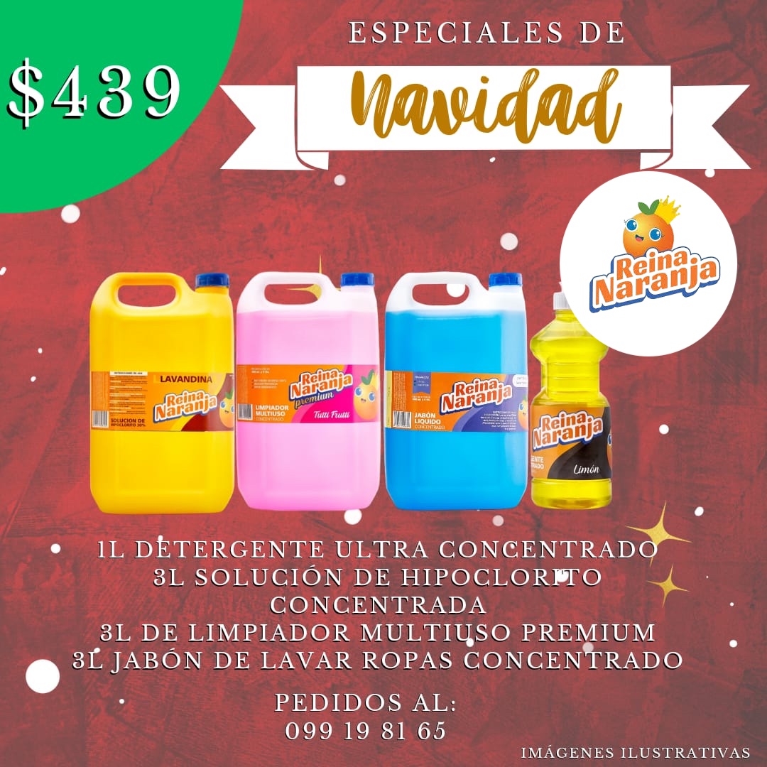 Reina Naranja OFERTA