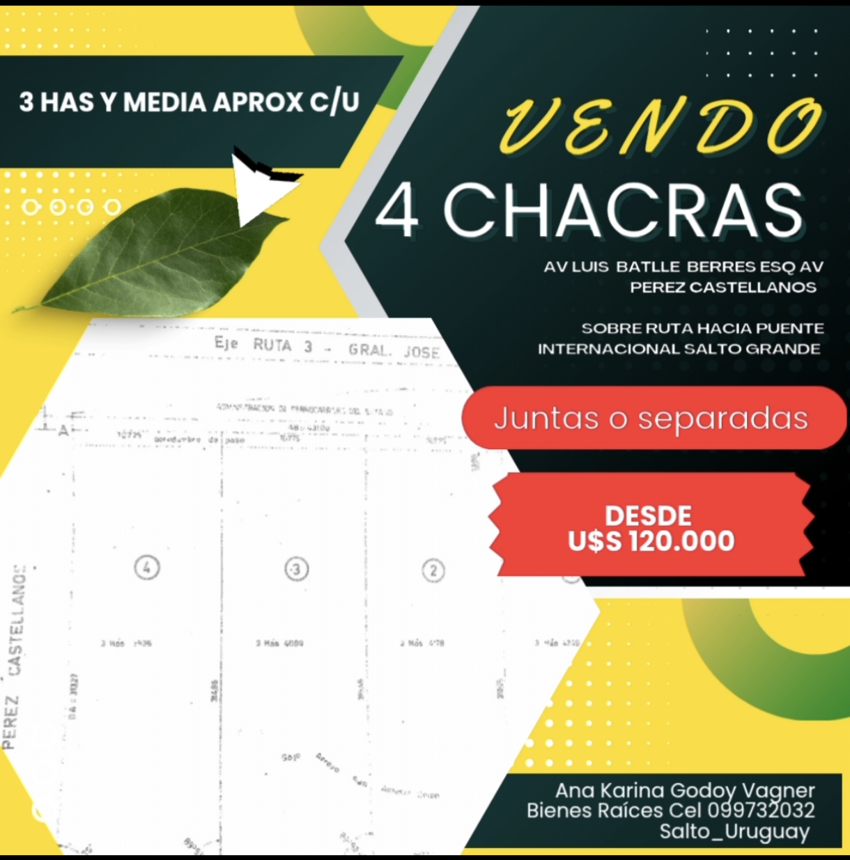 VENDO 3 CHACRAS A MINUTOS DEL CENTRO DE SALTO, UBICADAS EN AV LUIS BATLLE BERRES (EX RUTA 3) INTERSECCION AV PEREZ CASTELLANOS , SOBRE RUTA HACIA PUENTE INTERNACIONAL SALTO GRANDE